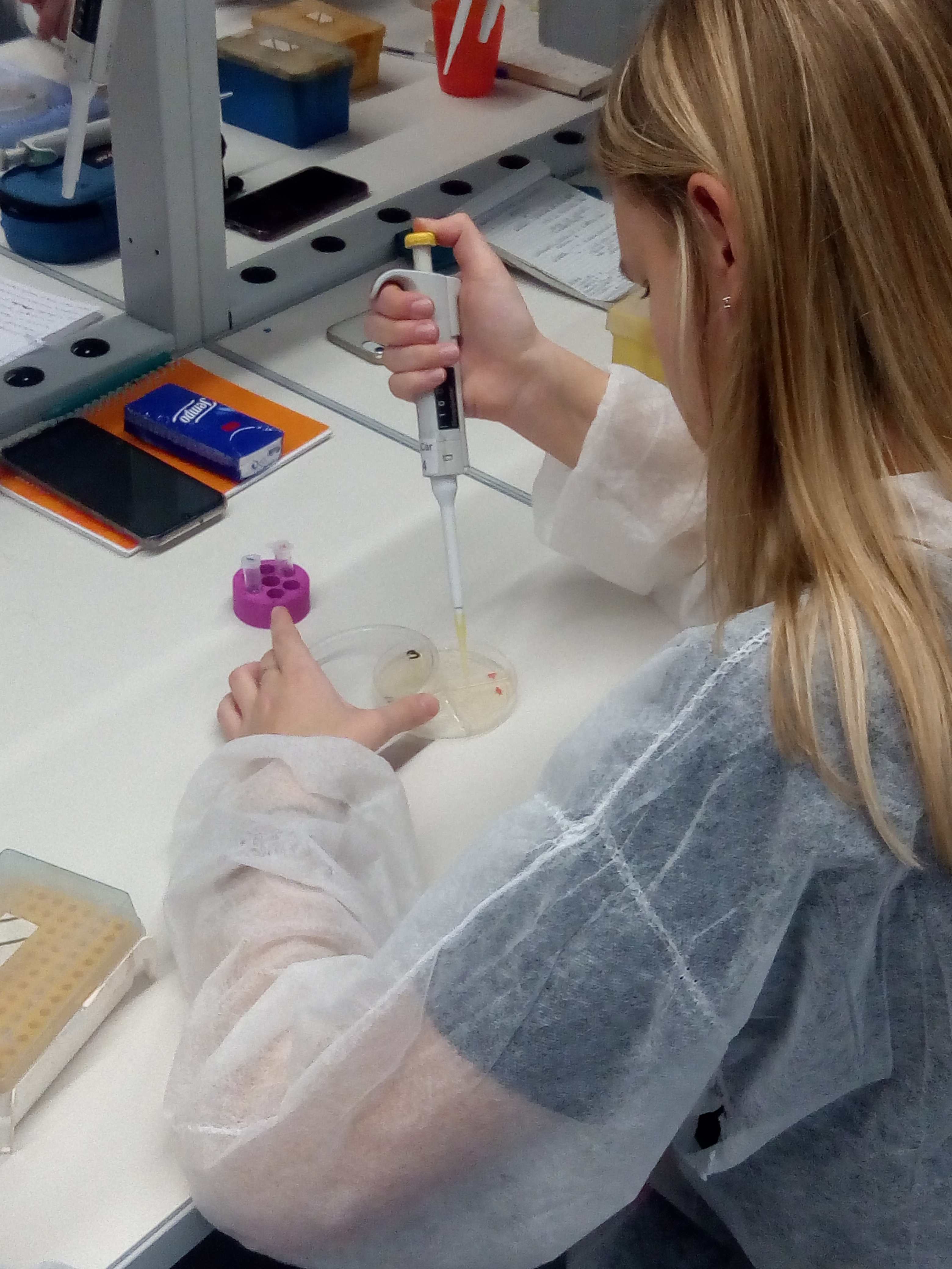 lab2